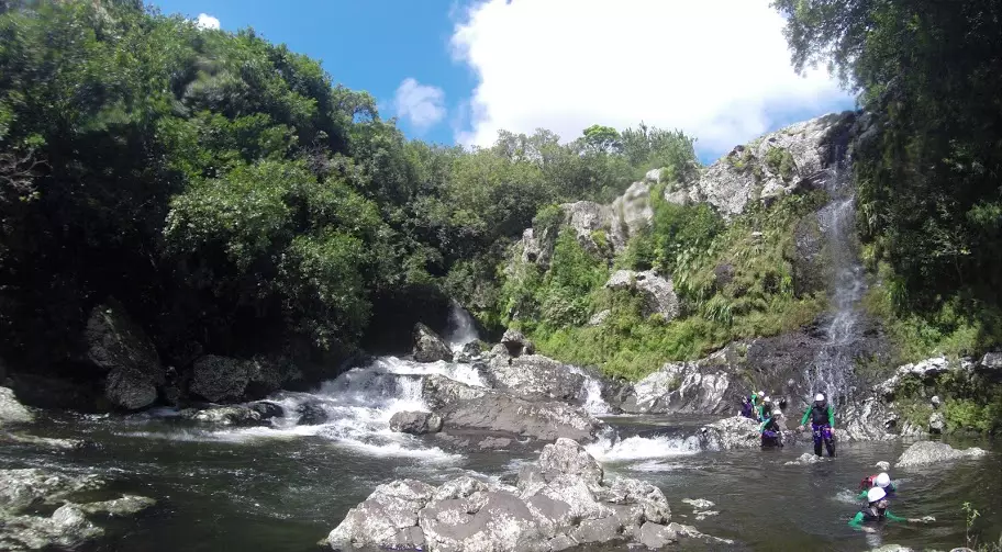 Bassin Boeuf* - Ste Suzanne