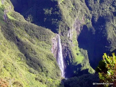 La Forêt Primaire de Bélouve