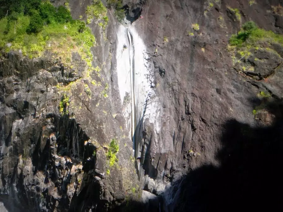 Fleurs Jaunes Intégrale